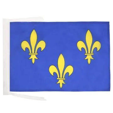 DRAPEAU 3 FLEUR DE LYS BLEU ET OR 45x30cm - PAVILLON ROYAUME DE FRANCE 30 x 45 cm haute qualité