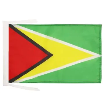DRAPEAU GUYANA 45x30cm - PAVILLON GUYANIEN 30 x 45 cm haute qualité