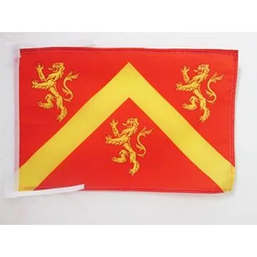 DRAPEAU COMTÉ DE L\'ANGLESEY 45x30cm - PAVILLON GALLOIS DE L\'ANGLESEY - PAYS DE GALLES 30 x 45 cm haute qualité
