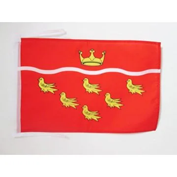 DRAPEAU COMTÉ DU SUSSEX DE L\'EST 45x30cm - PAVILLON EAST SUSSEX - ANGLETERRE 30 x 45 cm haute qualité