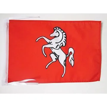 DRAPEAU COMTÉ DE KENT 45x30cm - PAVILLON COUNTY OF KENT - ANGLETERRE 30 x 45 cm haute qualité