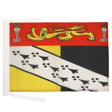 DRAPEAU COMTÉ DE NORFOLK 45x30cm - PAVILLON COUNTY OF NORFOLK - ANGLETERRE 30 x 45 cm haute qualité