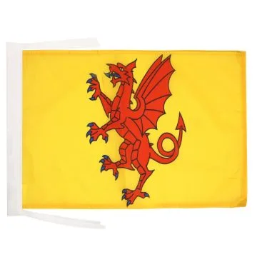 DRAPEAU COMTÉ DE SOMERSET 45x30cm - PAVILLON COUNTY OF SOMERSET - ANGLETERRE 30 x 45 cm haute qualité