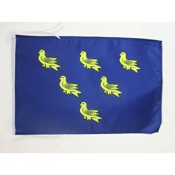 DRAPEAU COMTÉ DE SUSSEX 45x30cm - PAVILLON COUNTY OF SUSSEX - ANGLETERRE 30 x 45 cm haute qualité