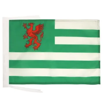 DRAPEAU COMTÉ DE WILTSHIRE ANCIEN 45x30cm - PAVILLON COUNTY OF WILTS. - ANGLETERRE 30 x 45 cm haute qualité