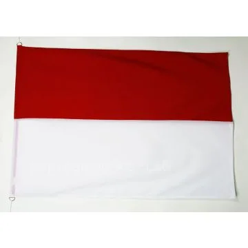 DRAPEAU ALSACE ROT UN WISS 150x100cm en Tergal - DRAPEAU ALSACIEN - FRANCE 100 x 150 cm Spécial Extérieur - DRAPEAUX