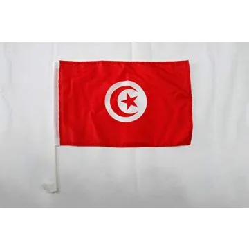 Drapeau de voiture Tunisie 45x30cm - Carflag tunisien 30 x 45 cm