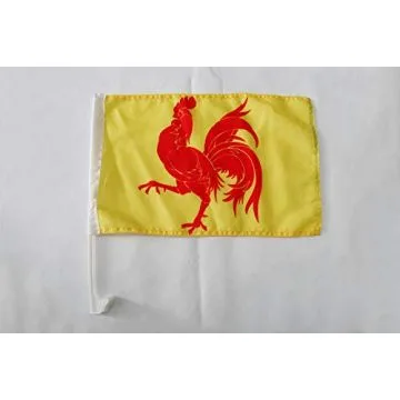 Drapeau de voiture Wallonie 45x30cm - Carflag wallon - Belgique 30 x 45 cm
