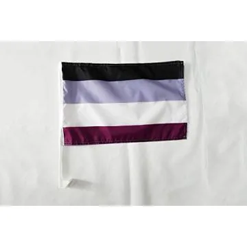 Drapeau de voiture Arc-en-Ciel Asexuel 45x30cm - Carflag Aasexualité - Rainbow 30 x 45 cm