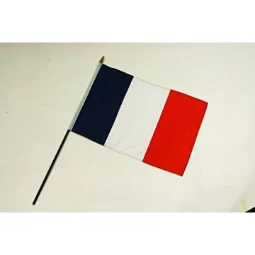 DRAPEAU FRANCE 45x30cm HAMPE noire - LOT DE 10 DRAPEAUX FRANÇAIS 30 x 45 cm