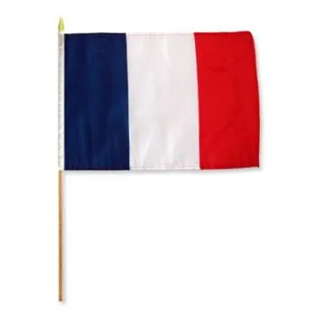 DRAPEAU FRANCE 45x30cm HAMPE en bois - LOT DE 10 DRAPEAUX FRANÇAIS 30 x 45 cm
