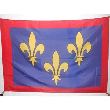 DRAPEAU PROVINCE DU BERRY 90x60cm - DRAPEAU BERRI - FRANCE 60 x 90 cm Fourreau pour hampe