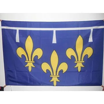 DRAPEAU PROVINCE ORLÍ?ANAIS 90x60cm - DRAPEAU ORLÍ?ANS - FRANCE 60 x 90 cm Fourreau pour hampe