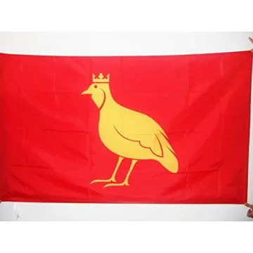 DRAPEAU PROVINCE D\'AUNIS 90x60cm - DRAPEAU CHARENTE-MARITIME - FRANCE 60 x 90 cm Fourreau pour hampe