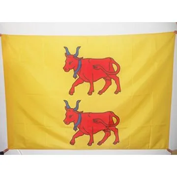 DRAPEAU PROVINCE DU BÉARN 90x60cm - DRAPEAU PYRÉNÉES-ATLANTIQUES - FRANCE 60 x 90 cm Fourreau pour hampe