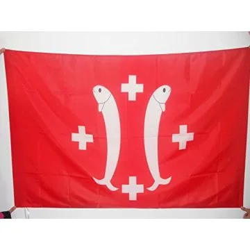 DRAPEAU PRINCIPAUTÉ DE SALM-SALM 90x60cm - DRAPEAU COMTÉ DE SALM - FRANCE 60 x 90 cm Fourreau pour hampe