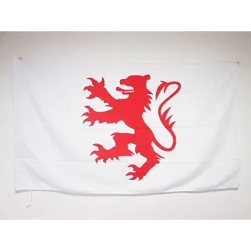 DRAPEAU GERS 90x60cm - DRAPEAU DÉPARTEMENT FRANÇAIS - MIDI-PYRÉNÉES 60 x 90 cm Fourreau pour hampe