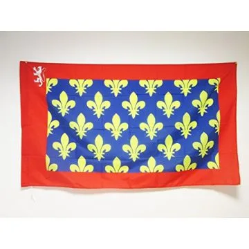 DRAPEAU SARTHE 90x60cm - DRAPEAU DÉPARTEMENT FRANÇAIS - PAYS DE LA LOIRE 60 x 90 cm Fourreau pour hampe