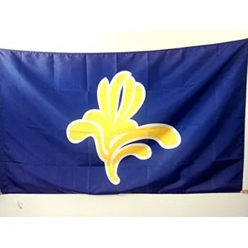 DRAPEAU BRUXELLES CAPITALE 90x60cm - DRAPEAU BRUXELLOIS 60 x 90 cm Fourreau pour hampe