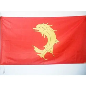 DRAPEAU COMTÉ DE FOREZ 90x60cm - DRAPEAU FORÉZIEN - SAINT-ETIENNE 60 x 90 cm Fourreau pour hampe