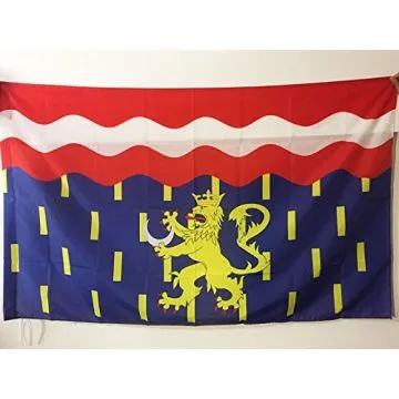 DRAPEAU HAUTE-SAÍ?NE 90x60cm - DRAPEAU DÍ?PARTEMENT HAUT-SAÍ?NOIS 60 x 90 cm Fourreau pour hampe