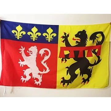 DRAPEAU RHÍ?NE 90x60cm - DRAPEAU DÍ?PARTEMENT RHODANIEN 60 x 90 cm Fourreau pour hampe