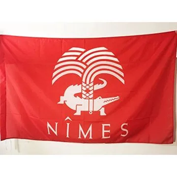 DRAPEAU NÍ?MES 90x60cm - DRAPEAU CROCODILE NÍ?MOIS 60 x 90 cm Fourreau pour hampe