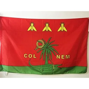 DRAPEAU NÍ?MES COLNEM 90x60cm - DRAPEAU CROCODILE NÍ?MOIS ROMAIN 60 x 90 cm Fourreau pour hampe