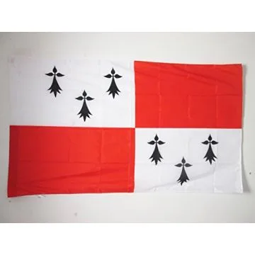 DRAPEAU PAYS DE DOL 90x60cm - DRAPEAU BRO-ZOL EN BRETAGNE 60 x 90 cm Fourreau pour hampe
