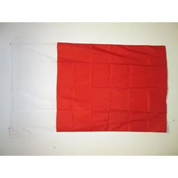 DRAPEAU DUBAÏ 90x60cm - DRAPEAU DOUBAI AUX Í?MIRATS ARABES UNIS 60 x 90 cm Fourreau pour hampe