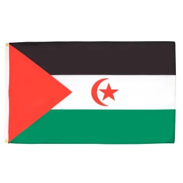 DRAPEAU SAHARA OCCIDENTAL 90x60cm - DRAPEAU SAHRAOUI 60 x 90 cm - DRAPEAUX