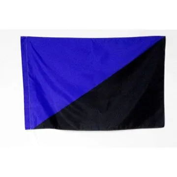 DRAPEAU ANARCHO-TRANSHUMANISME 90x60cm - DRAPEAU ANARCHISTE TRANSHUMANISTE 60 x 90 cm Fourreau pour hampe