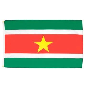 DRAPEAU SURINAME 90x60cm - DRAPEAU SURINAMIEN 60 x 90 cm - DRAPEAUX