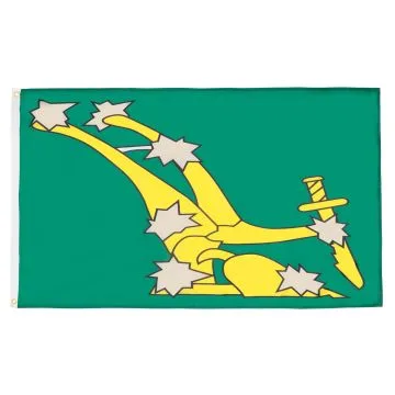 DRAPEAU IRLANDE STARRY PLOUGH VERT 90x60cm - DRAPEAU IRISH CITIZEN ARMY 60 x 90 cm - DRAPEAUX
