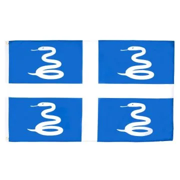 DRAPEAU MARTINIQUE 90x60cm - DRAPEAU MARTINIQUAIS - FRANCE 60 x 90 cm - DRAPEAUX
