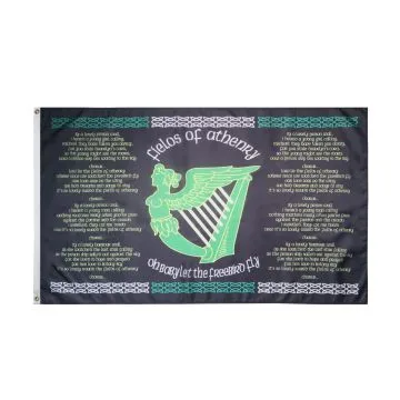 Ireland The Fields of Athenry Flag 2' x 3' 100D polyester grommets