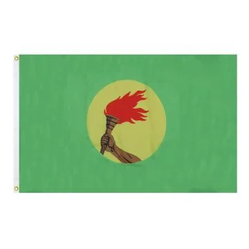 DRAPEAU ZAÏRE 90x60cm - DRAPEAU ZAÏROIS 60 x 90 cm - DRAPEAUX