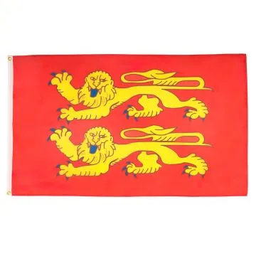 DRAPEAU BASSE-NORMANDIE 90x60cm - DRAPEAU BAS-NORMAND - FRANCE 60 x 90 cm - DRAPEAUX