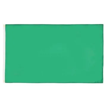 DRAPEAU UNICOLORE VERT 90x60cm - DRAPEAU DE COULEUR VERTE 60 x 90 cm - DRAPEAUX