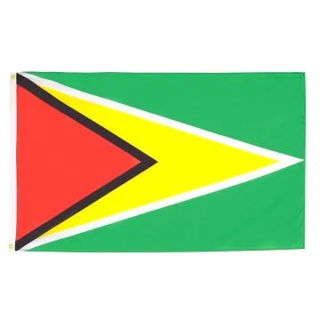 DRAPEAU GUYANA 90x60cm - DRAPEAU GUYANIEN 60 x 90 cm - DRAPEAUX