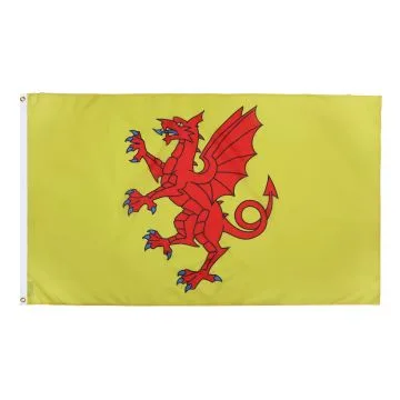 DRAPEAU COMTÍ? DE SOMERSET 90x60cm - DRAPEAU COUNTY OF SOMERSET - ANGLETERRE 60 x 90 cm - DRAPEAUX