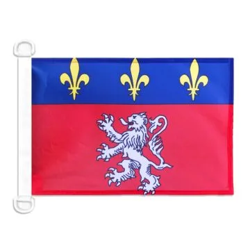 Pavillon nautique Province du Lyonnais 45x30 cm Anneaux Plastiques