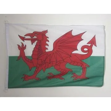 PAVILLON NAUTIQUE PAYS DE GALLES 45x30cm - DRAPEAU DE BATEAU GALLOIS 30 x 45 cm