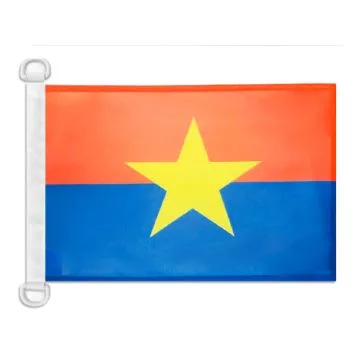 Pavillon nautique Front national de libération du Sud Viêt Nam 45x30 cm Anneaux Plastiques