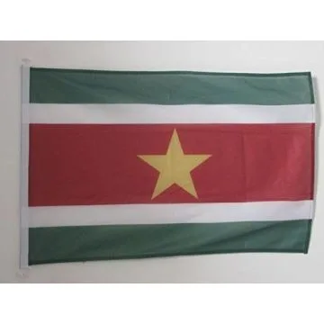 Bandera nautica surinamesa 45x30cm - Compra/Venta Banderas naúticas de Surinam 30 x 45 cm con anillos