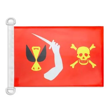 Pavillon nautique Pirate Christopher Moody 45x30 cm Anneaux Plastiques