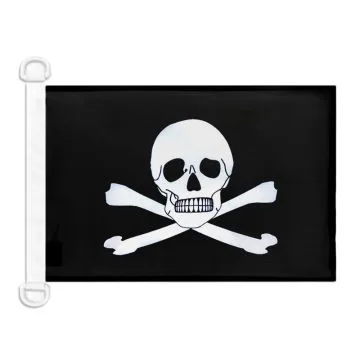 Pavillon nautique Pirate Poison 45x30 cm Anneaux Plastiques
