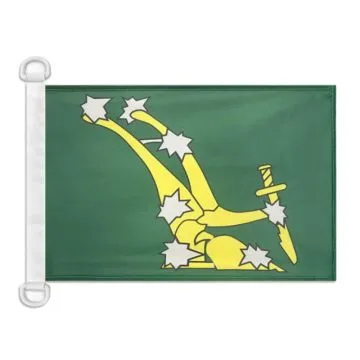 Pavillon nautique Irlande Starry Plough vert 45x30 cm Anneaux Plastiques