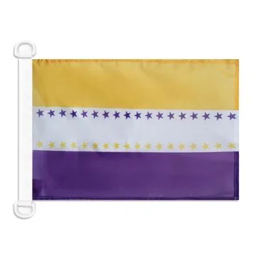 Pavillon nautique XIXe amendement de la Constitution des États-Unis 45x30 cm Anneaux Plastiques