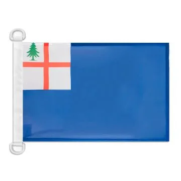 Pavillon nautique Etats-Unis Bunker Hill 45x30 cm Anneaux Plastiques